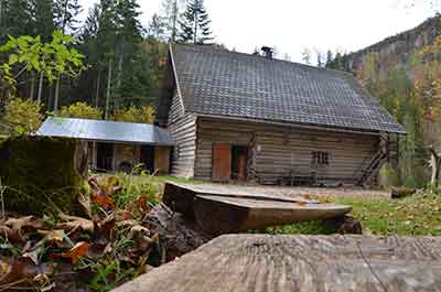 Sulzaustube