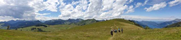 Panorama